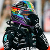 2021 Lewis Hamilton Mercedes Gloves - Rustle Racewears