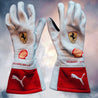 Charles Leclerc 2023 MONACO GP F1 Racing gloves - Rustle Racewears